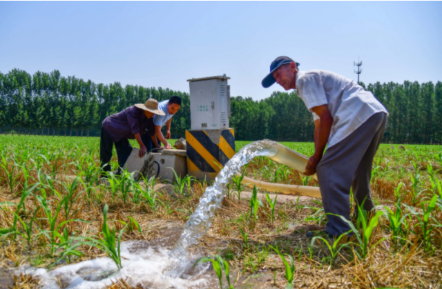 挽回了丢失掌管了公道也给文身服务供给者敲响了法令警钟 挽回了丢失掌管了公道也给文身服务供给者敲响了法令警钟